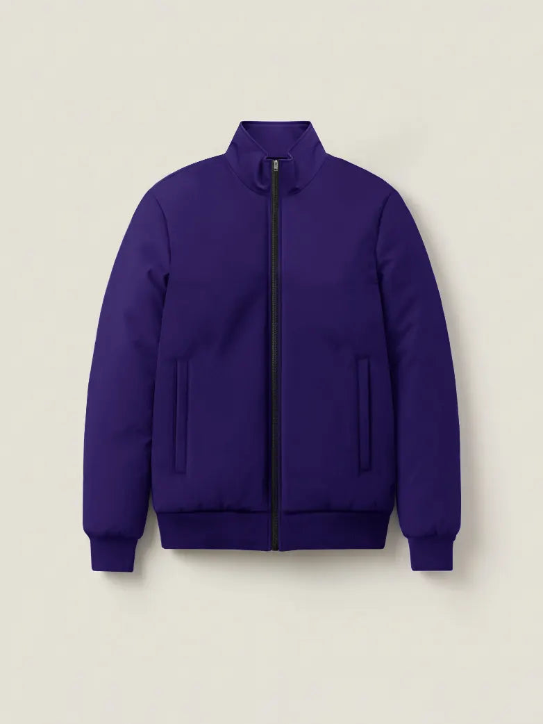 Stylish Winter Zipper Mockneck Jacket For Men-Royal Blue-BRPH11